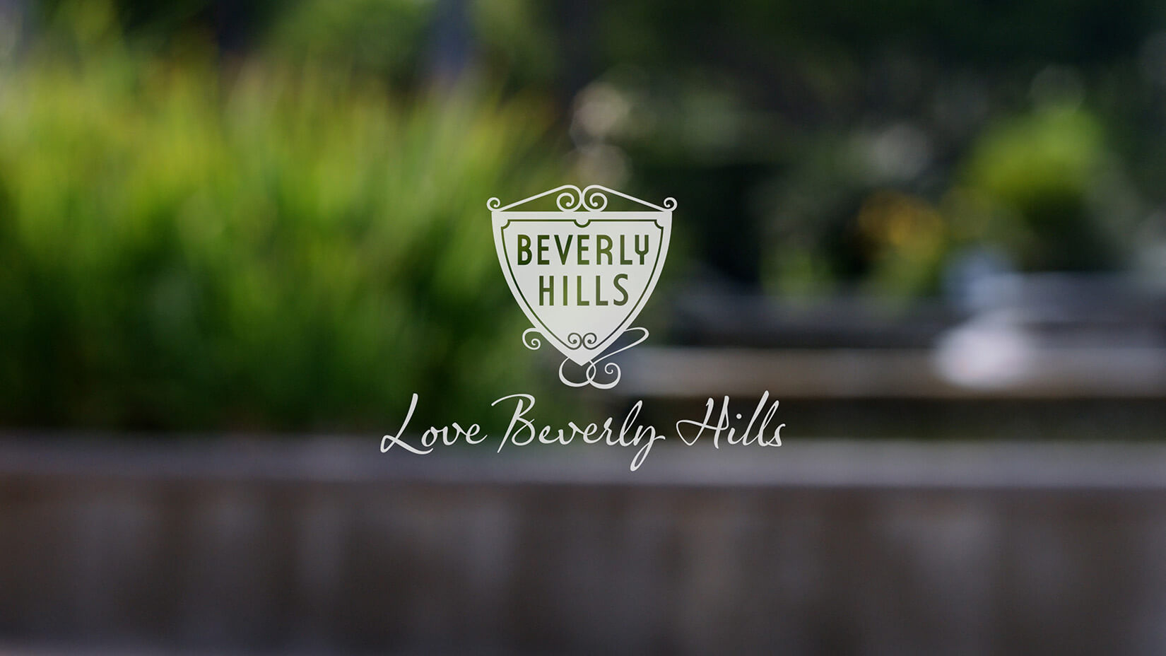 Drone Videography Beverly Hills