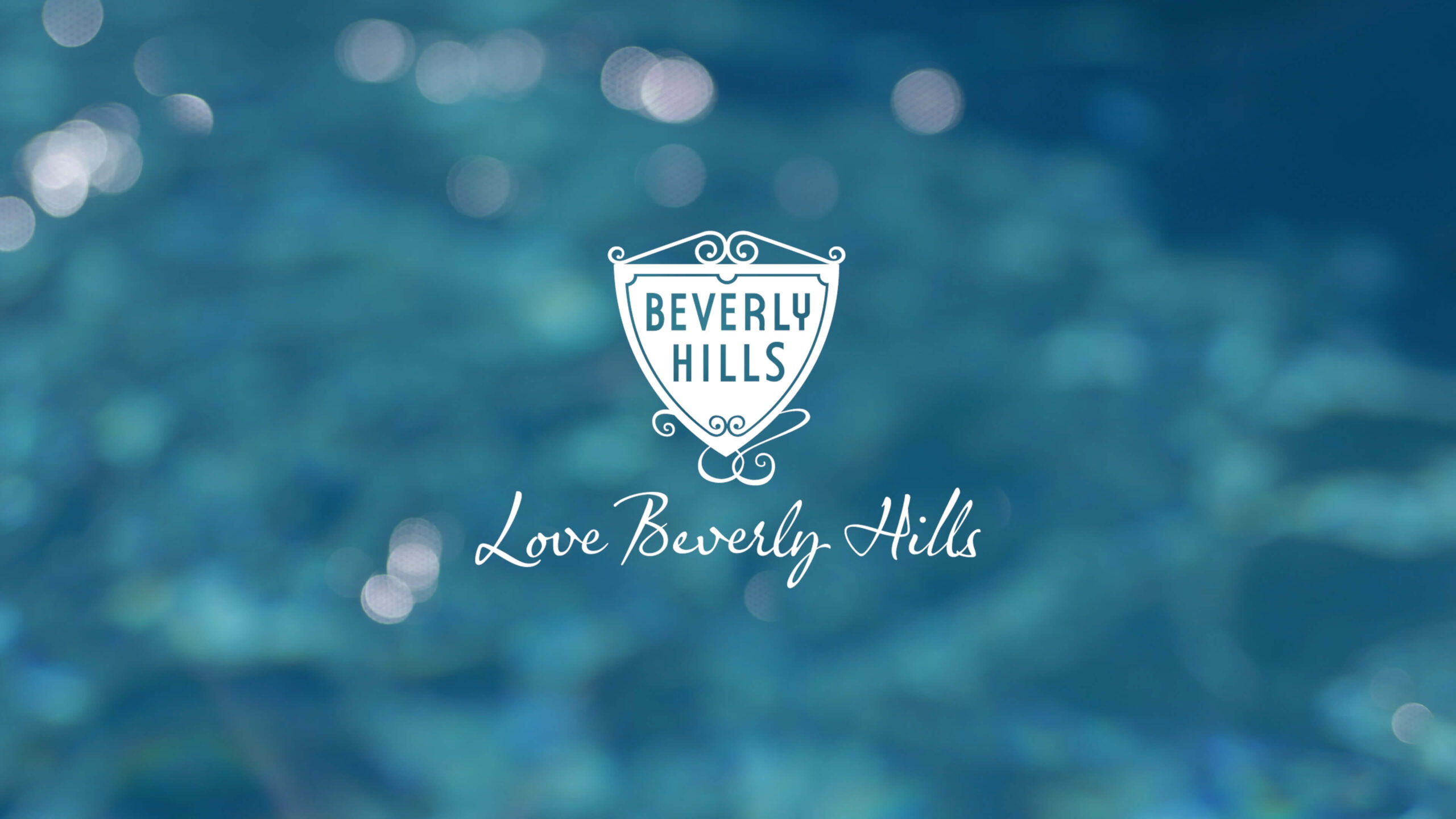 Drone Videography Beverly Hills